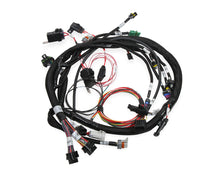 Load image into Gallery viewer, HOLLEY 558-117 - Universal MPFI Coil On Plug Main Harness image