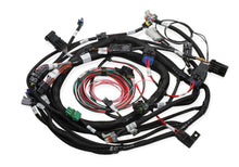 Load image into Gallery viewer, HOLLEY 558-118 - Ford MPFI Coil On Plug Main Harness image