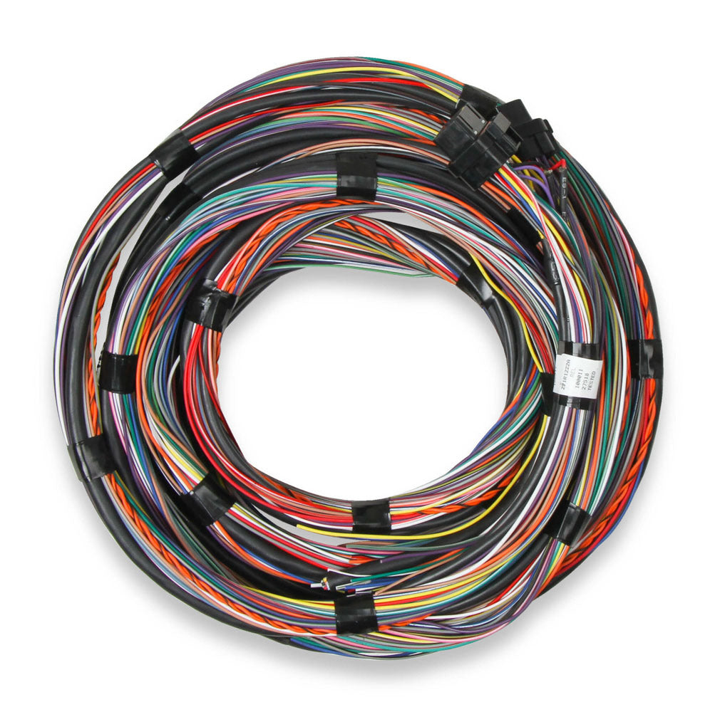 HOLLEY 558-126 - Flying Lead Main Harness  image