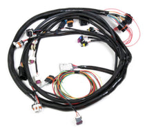 Load image into Gallery viewer, HOLLEY 558-128 - Engine Main Harness Ford 5.0L/5.8L image