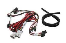 Load image into Gallery viewer, HOLLEY 558-318 - Coil-Near-Plug Sub Harness - Big Wire image