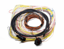 Load image into Gallery viewer, HOLLEY 558-401 - Auxiliary Harness J2A Connector image