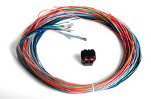 Load image into Gallery viewer, HOLLEY 558-402 - J2B Auxiliary Harness Kit image