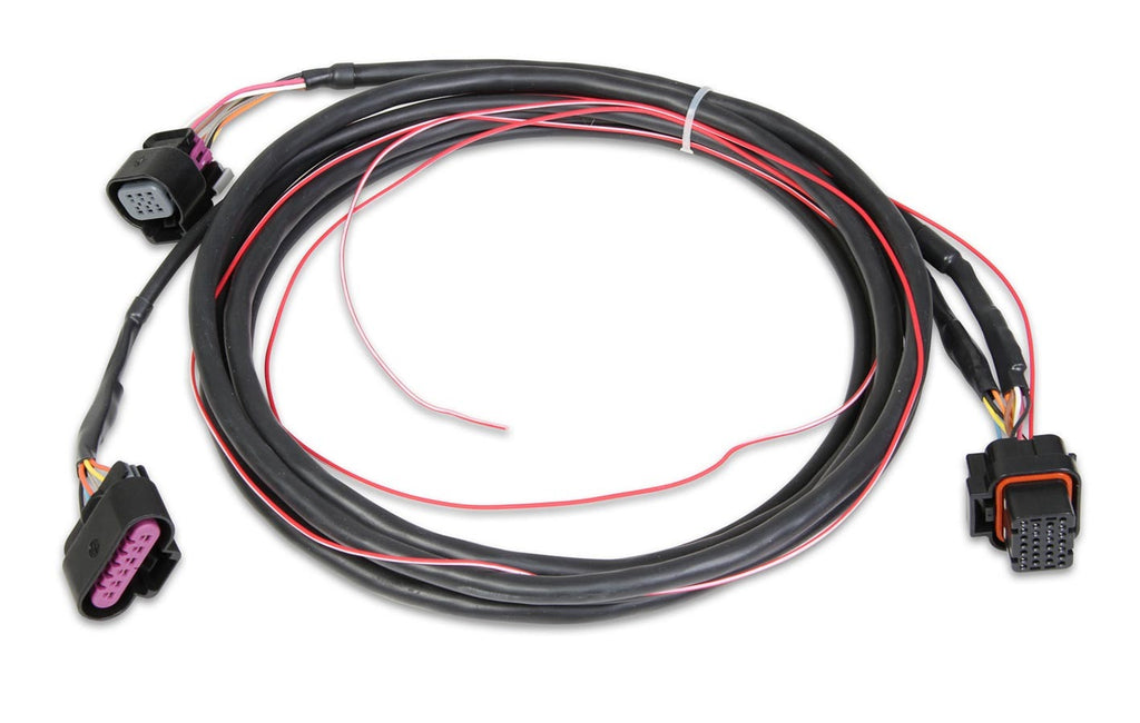 HOLLEY 558-406 - Drive By Wire Harness GM  image