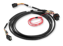 Load image into Gallery viewer, HOLLEY 558-422 - DBW Throttle Harness Ford 5.0L Coyote 11-17 image