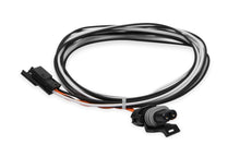 Load image into Gallery viewer, HOLLEY 558-430 - Can Adapter- New Device to 2-Pin Main Harness image