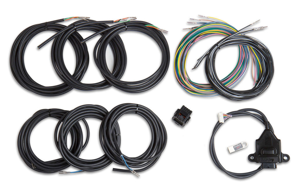 HOLLEY 558-433 - Wiring Harness - EFI Digital Dash I/O Adapter image