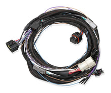 Load image into Gallery viewer, HOLLEY 558-470 - Trans Wire Harness Ford 4R70W/4R75W  1998-Up image