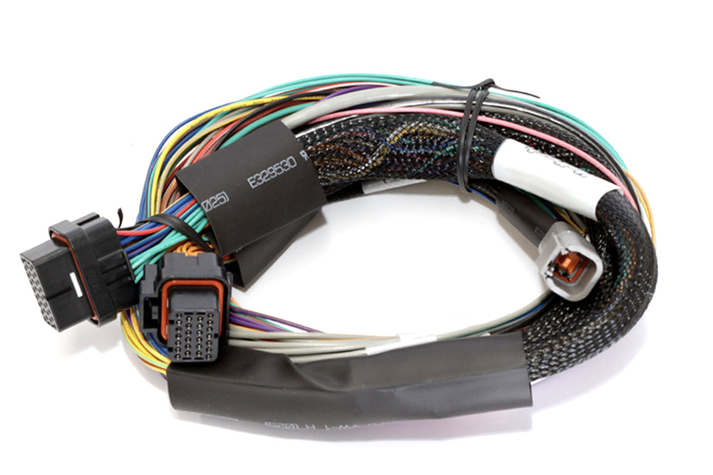 HALTECH HT-141302 - Elite 2500 Basic Univ. Wire Harness image