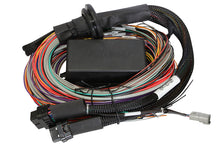 Load image into Gallery viewer, HALTECH HT-141304 - Elite 2500 Premium Univ. Wire Harness image