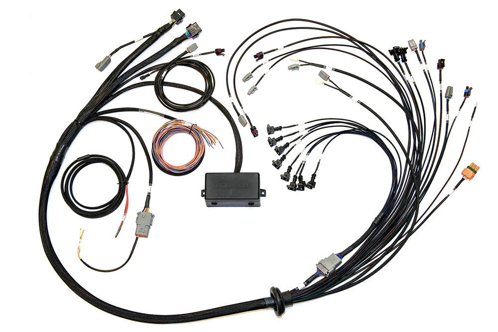 HALTECH HT-141376 - Elite 2000/2500  EV1 Terminated Wire Harness image