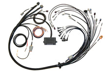 Load image into Gallery viewer, HALTECH HT-141376 - Elite 2000/2500  EV1 Terminated Wire Harness image