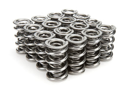 ISKY CAMS 1249ML - 1.660 Triple Valve Springs Tool Room Steel image