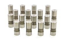 Load image into Gallery viewer, ISKY CAMS 202-H - Chevy Solid Lifters  image