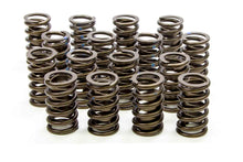 Load image into Gallery viewer, ISKY CAMS 205-D - Valve Springs  image