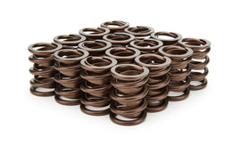 ISKY CAMS 3105-D - 1.490 Valve Springs  image