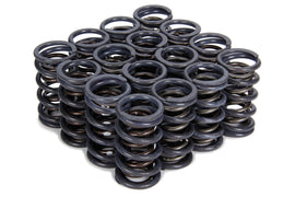 ISKY CAMS 4205 - 1.240 Dual Valve Springs  image