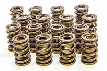 Load image into Gallery viewer, ISKY CAMS 8005PLUS - 1.530 Valve Springs  image