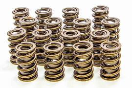 ISKY CAMS 9365PLUS - 1.560in Valve Springs  image