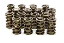 Load image into Gallery viewer, ISKY CAMS 9905 - 1.534 Valve Springs  image