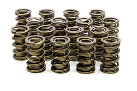ISKY CAMS 9925 - 1.534 Valve Springs  image