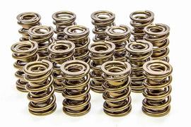 ISKY CAMS 9945-RAD - 1.625 Valve Springs  image