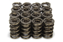 Load image into Gallery viewer, ISKY CAMS 9989RAD - 1.570 Valve Springs  image