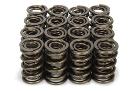 ISKY CAMS 9989RAD - 1.570 Valve Springs  image