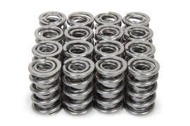 ISKY CAMS 9996-RADML - 1.600 Dual RAD Valve Springs image