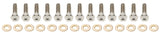 10in Beadlock Bolt Kit Titanium