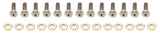 10in Wheel Center Bolt Kit Titanium