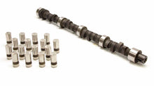 Load image into Gallery viewer, LUNATI 10510702LK - Voodoo Cam &amp; Lifter Kit Pontiac V8 V262H12 image
