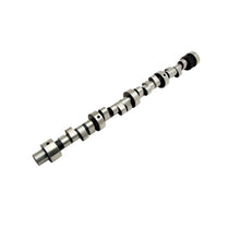 Load image into Gallery viewer, LUNATI 20510710 - Hyd Roller Camshaft Pontiac V8 RF-V262HR12 image