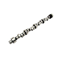 Load image into Gallery viewer, LUNATI 20510713 - Pontiac V8 Hyd Roller Camshaft RF-V294HR10 image