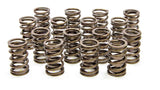 1.450in Valve Springs
