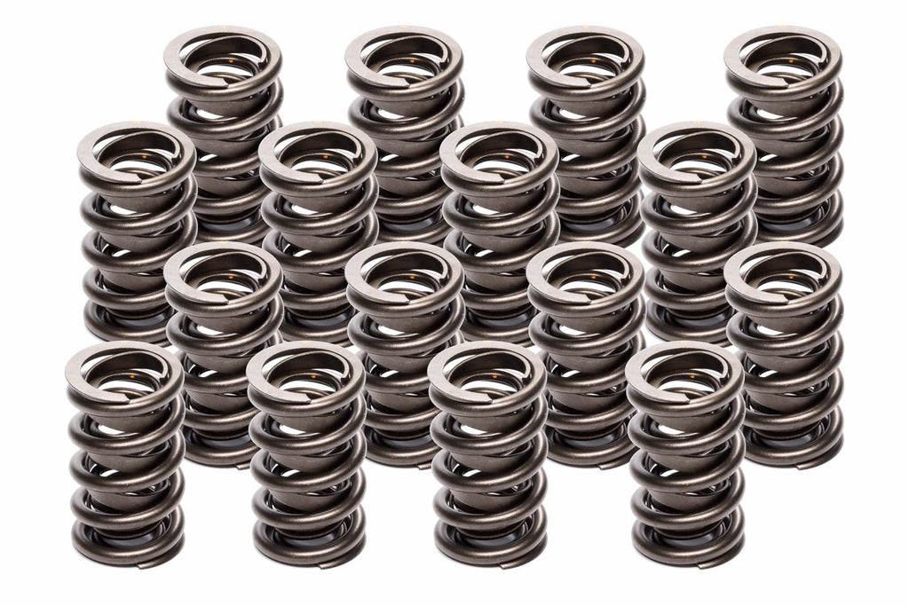 LUNATI 74650-16 - 1.514 Dual Valve Spring Set w/Damper image