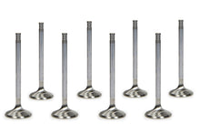 Load image into Gallery viewer, MANLEY 11671-8 - Mopar 6.1L Hemi R/M 1.625 Exhaust Valves image