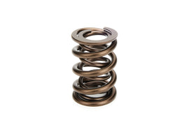 MANLEY 221424-1 - 1.640 Dual Valve Spring  image