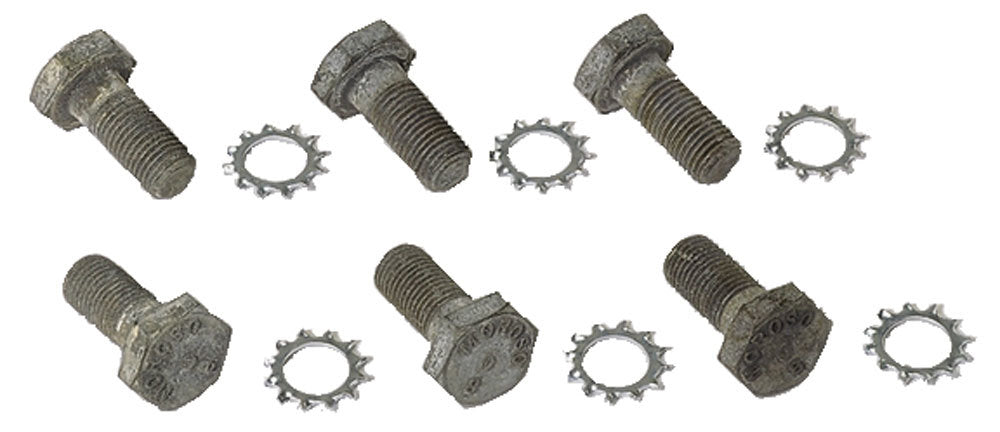 MOROSO 38755 - 12 Pt Flywheel Bolts  image