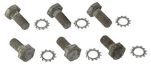 Load image into Gallery viewer, MOROSO 38755 - 12 Pt Flywheel Bolts  image