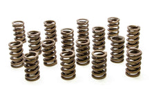 Load image into Gallery viewer, PAC RACING SPRINGS PAC-1200 - 1.244 Single Valve Springs w/Damper - (16) image