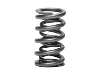 Load image into Gallery viewer, PAC RACING SPRINGS PAC-1237X-1 - 1.274 Dual Valve Spring GM LS image