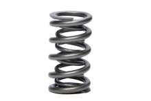 Load image into Gallery viewer, PAC RACING SPRINGS PAC-1238X-1 - 1.274 Dual Valve Spring GM LS image