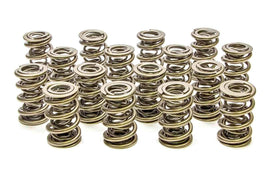 PAC RACING SPRINGS PAC-1353 - 1.695 Triple Valve Springs - (16) image