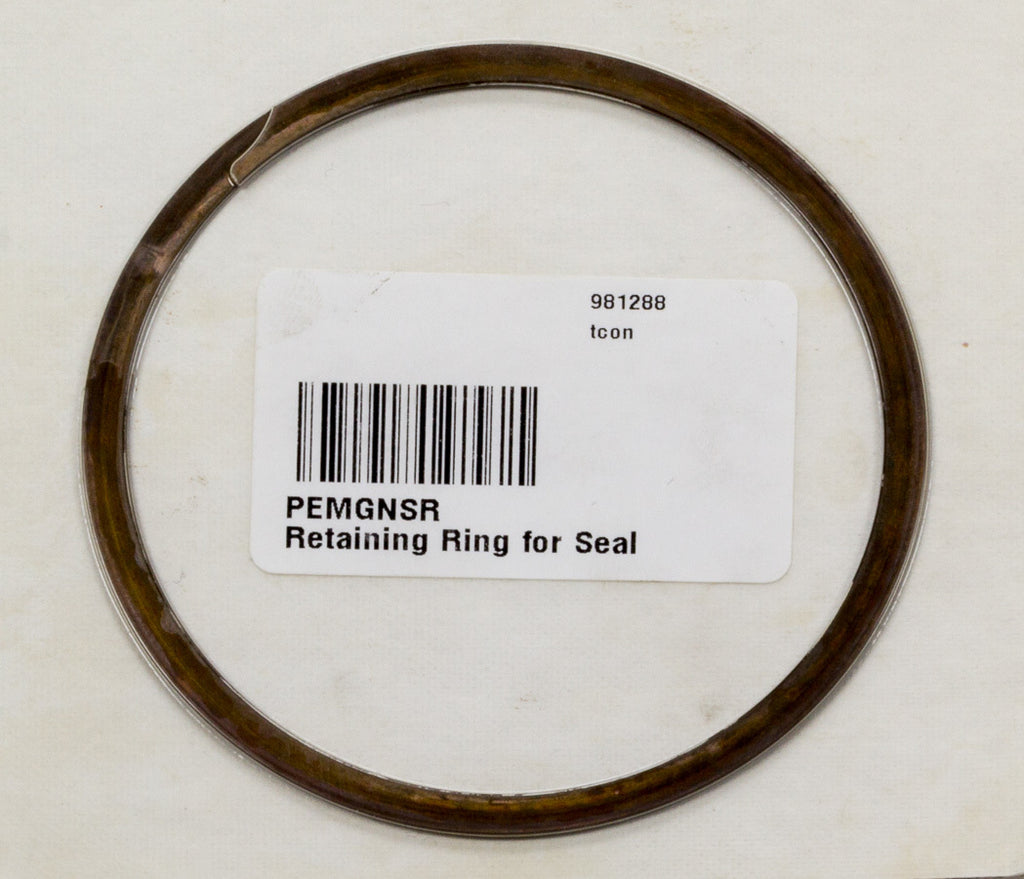 PEM GNSR - Retaining Ring for Seal 2.5in GN image