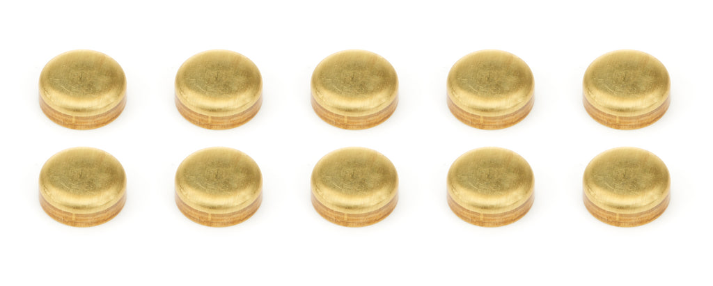 PIONEER EPC-80-B-10 - Expansion Plugs 10pk - Brass 1-3/8 Dia image