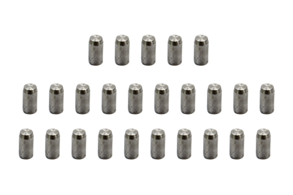 PIONEER PG-653-25 - Dowel Pins (25)  image