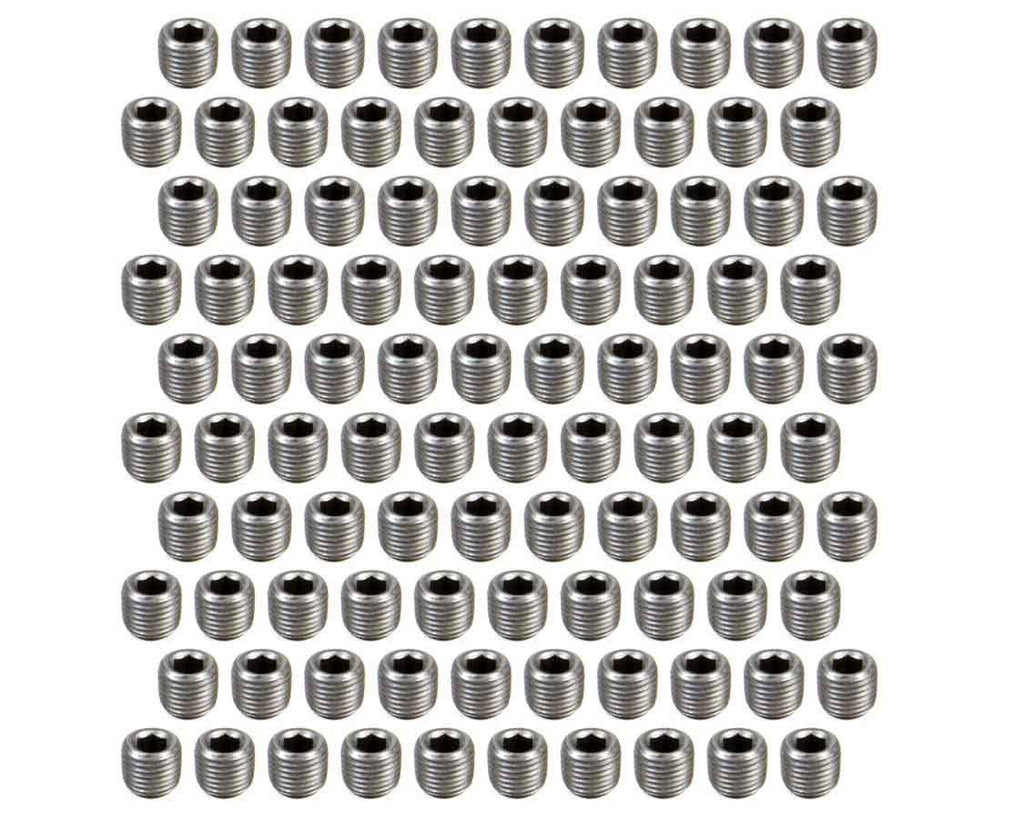 PIONEER PP-507-100 - Pipe Plugs - (100) 1/4 NPT - Hex Head image