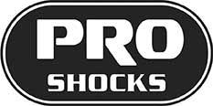 PRO SHOCK 100 - Pro Shock Street 2019 image