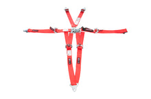 Load image into Gallery viewer, RJS SAFETY 1000104 - Harness L&amp;L 2in P/D  image